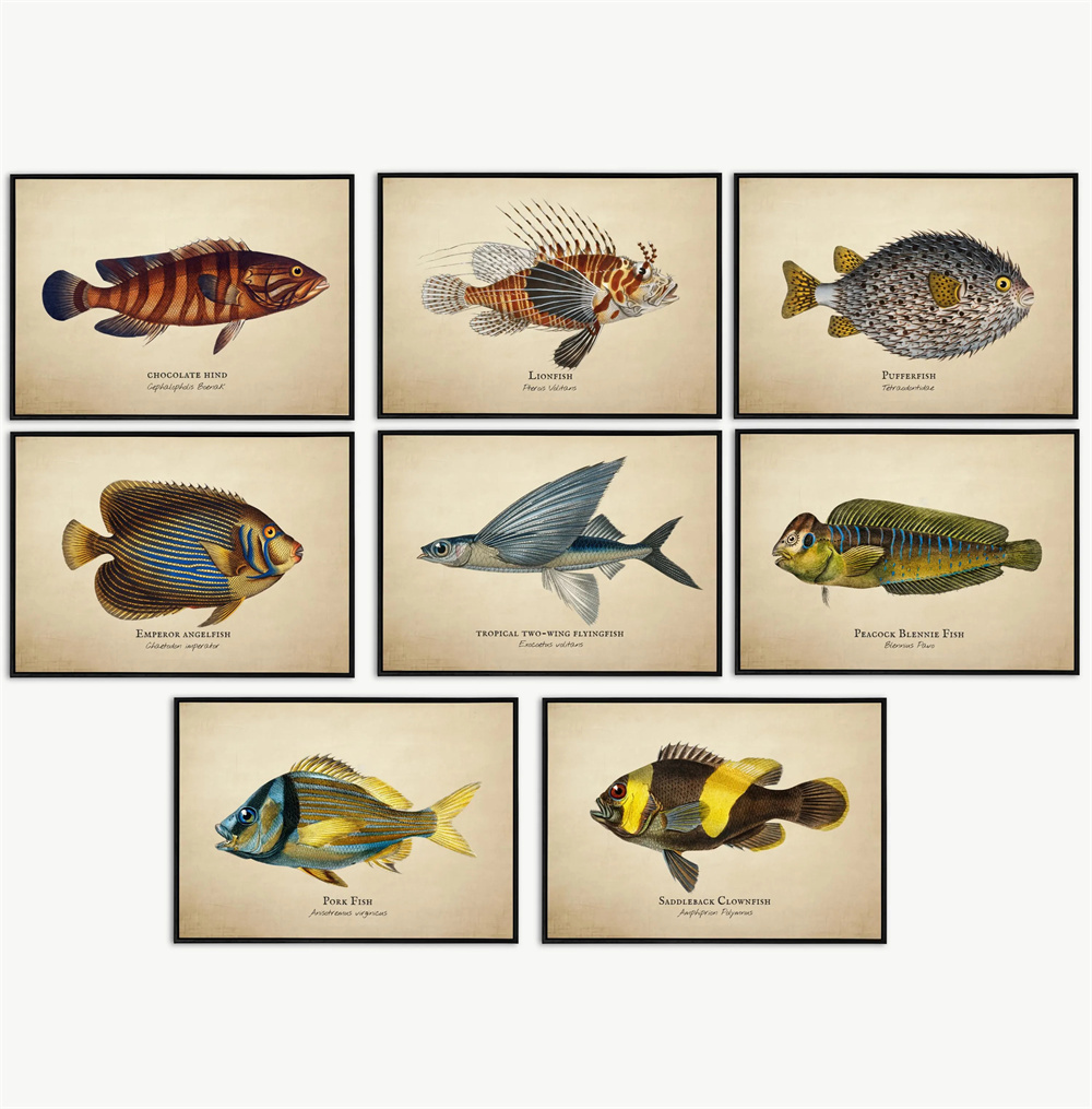 Marine Aquarium Home - 빈티지 사진 열대어 해파리 조개 해양