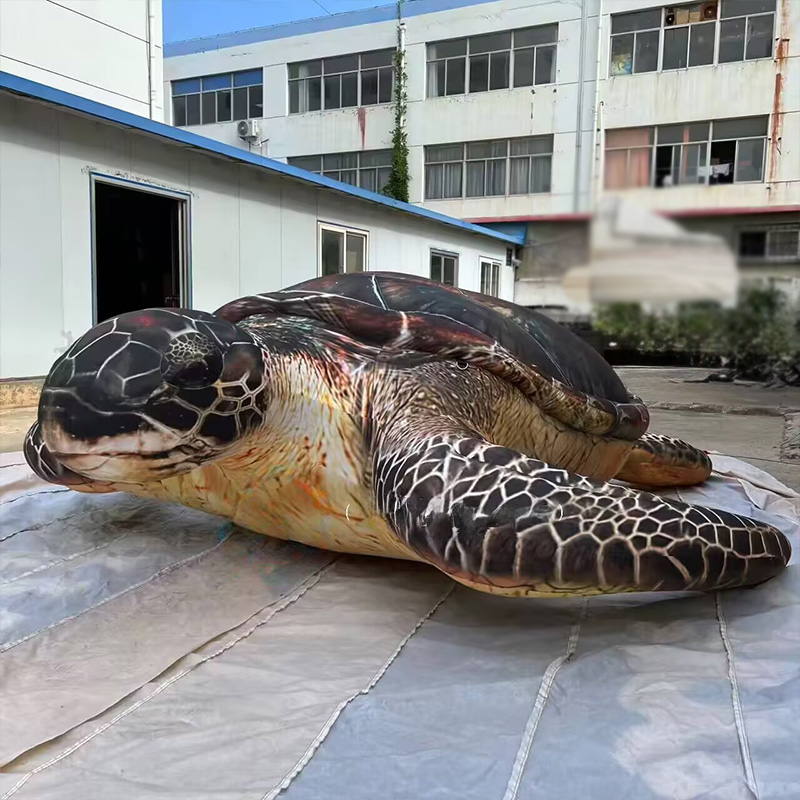 풍선 바다거북, 해양 생물, 송풍기 포함, 야외 쇼핑몰 - Aquarium Marine Shop 리뷰 및 가격